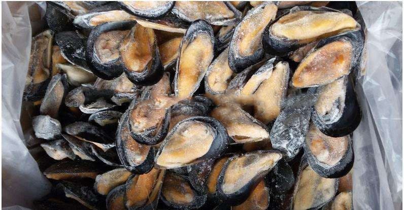 Frozen Shellfish Mussels